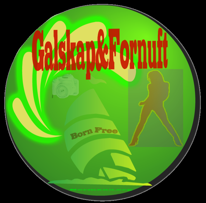 Galskap&Fornuft - Blogg